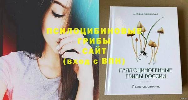 тгк Наволоки
