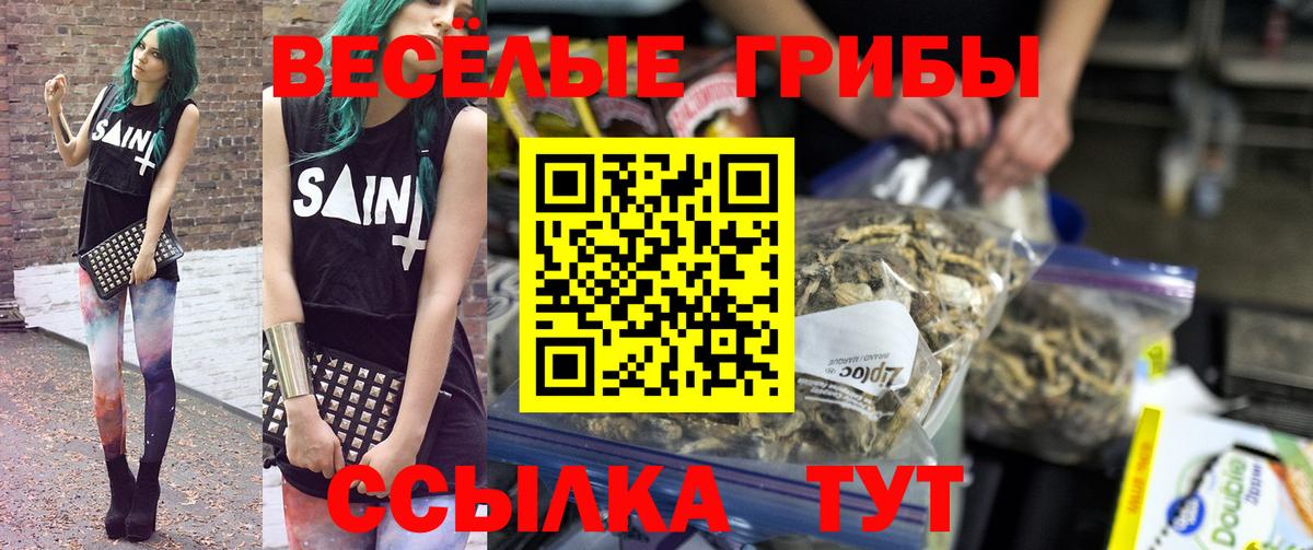 Галлюциногенные грибы GOLDEN TEACHER  Вход с VPN  Лениногорск 