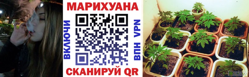 даркнет телеграм  blacksprut зеркало  Лениногорск  Конопля MAZAR 